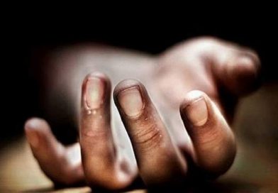 चितवनमा हात्तीको आक्रमणमा आमाछोराको मृत्यु