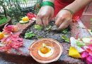 आज हरिशयनी एकादशी, तुलसी सारेर विशेष पूजा आराधना सुरु