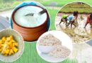 असार १५ आज : धान दिवस र दही–चिउरा खाएर मनाइँदै राष्ट्रिय सांस्कृतिक पर्व