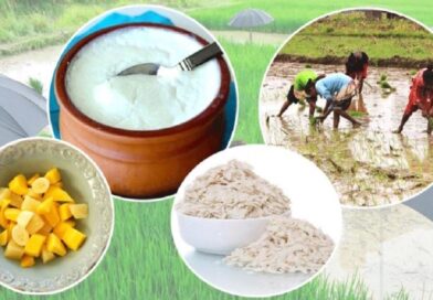 असार १५ आज : धान दिवस र दही–चिउरा खाएर मनाइँदै राष्ट्रिय सांस्कृतिक पर्व