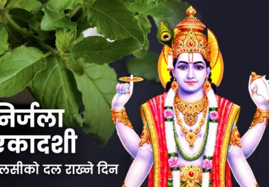 ज्येष्ठ शुक्ल एकादशीमा घरघरका मठमा तुलसीको दल राखिँदै