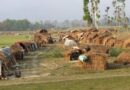 कमैया मुक्तिको २६ वर्ष : कानुनी रूपमा मुक्त भए पनि पुनःस्थापनाका समस्या अझै समाधान भएनन्