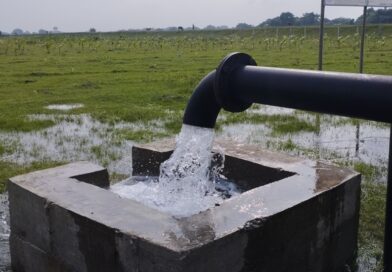 पर्याप्त वर्षा नहुँदा रुपन्देहीमा बोरिङको भरमा धान रोपाइँ