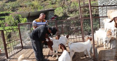 पशुलाई रोगबाट जोगाउन म्याग्दीमा पूर्णखोप अभियान सञ्चालन