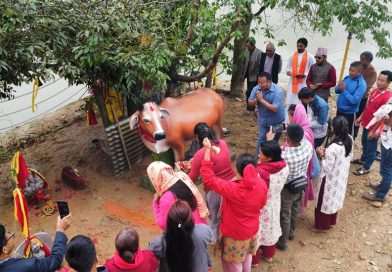 पञ्चकन्या मन्दिरमा विशाल गौमाता शिलामूर्ति स्थापना