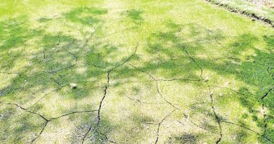 तराईमा तापलहरको प्रभाव बढ्दो, केही स्थानमा तापक्रम ४० डिग्रीभन्दा माथि