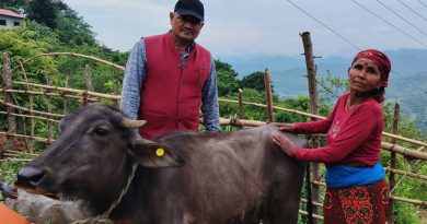 विपन्न परिवारलाई आयआर्जनसँग जोड्न पाडी वितरण