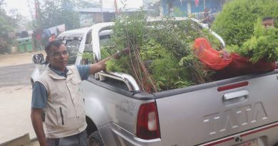 ‘सगरमाथा वृक्षरोपण महाअभियान’ भोजपुरमा, मुन्दुम पदमार्ग क्षेत्रमा लालीगुराँस रोपिँदै