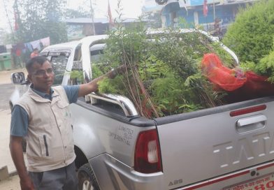 ‘सगरमाथा वृक्षरोपण महाअभियान’ भोजपुरमा, मुन्दुम पदमार्ग क्षेत्रमा लालीगुराँस रोपिँदै ‘सगरमाथा वृक्षरोपण महाअभियान’ भोजपुरमा, मुन्दुम पदमार्ग क्षेत्रमा लालीगुराँस रोपिँदै