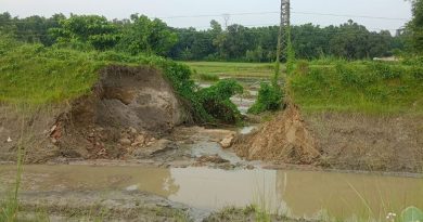 सप्तरीमा कोशी पम्प नहरको बाँध भत्कियो, धानबालीसहित खेतीयोग्य जमिन डुबानमा
